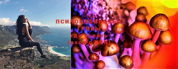 круглые Коряжма
